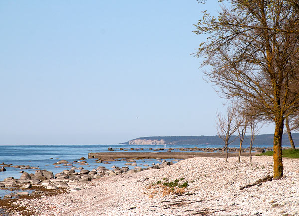 #21 - Gothic coast