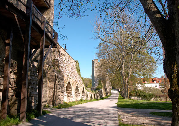 Lübeckerbräschen or Lubeck break - Visby