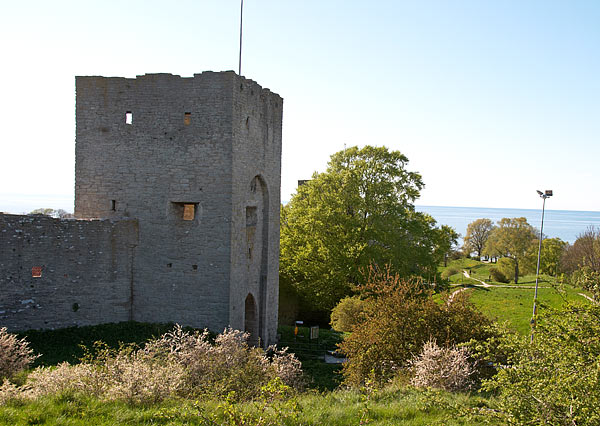 #33 - Norderport tower