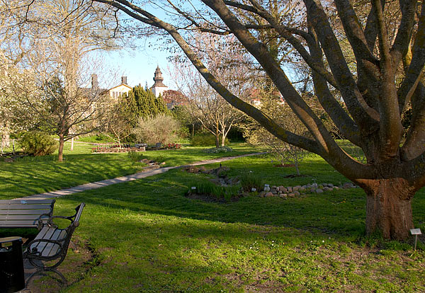 Botanical Garden of Visby - Visby