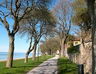 #19 - Marine facade of  Visby