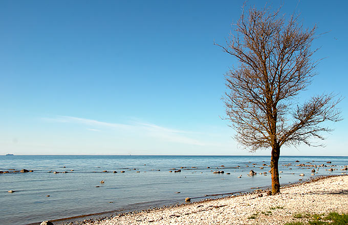 Visby and the Baltic Sea coast