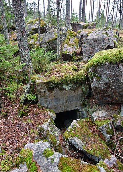Bunker in the forest - VT Line