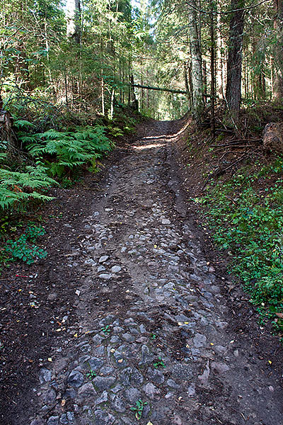 #52 - Road to the past...