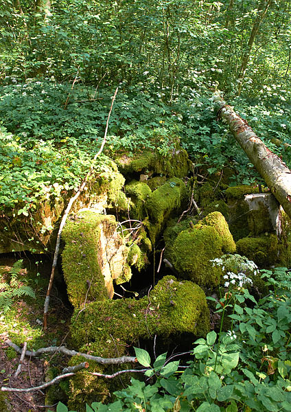 VT line fortifications - VT Line