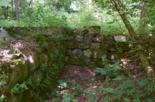 Siiranmäki village remnants - VT Line