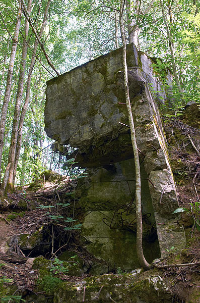 Ruins of sector's command and firepost - VT Line