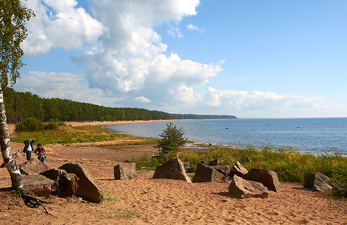 On a beach - VT Line