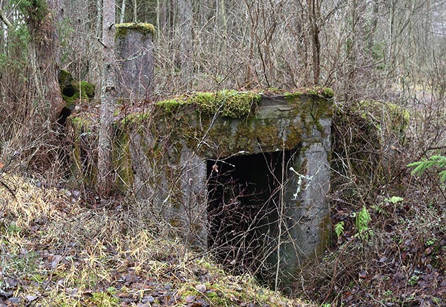 Standard infantry VT-line  shelter - VT Line