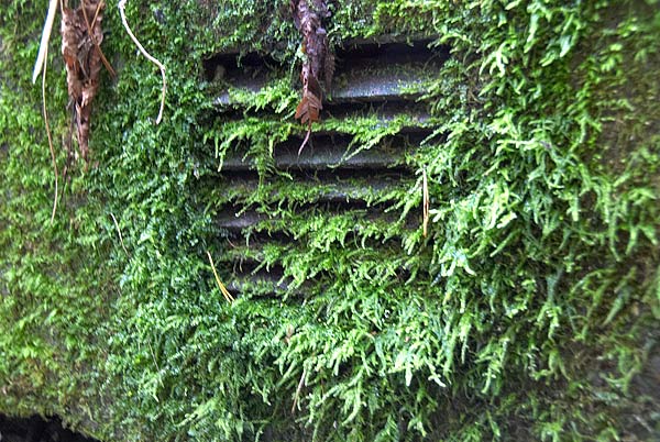 #15 - Ventilation