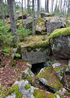 #24 - Bunker in the forest