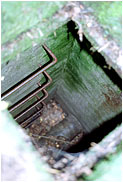 Vaults  of VT Line