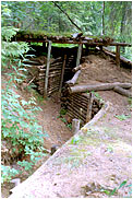 Entrenchments of  VT Line