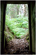 VT Line Bunker's exit