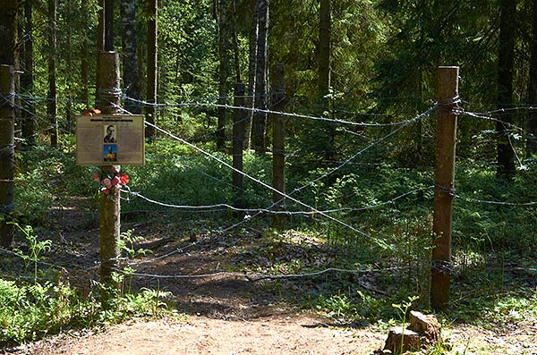 #17 - Wire entanglement
