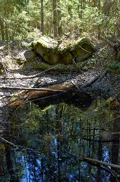 #29 - Shell crater