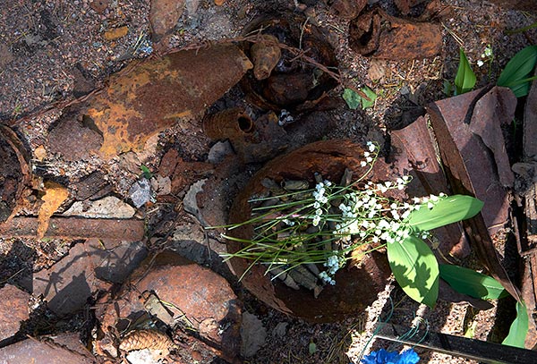 #3 - Rusty remains