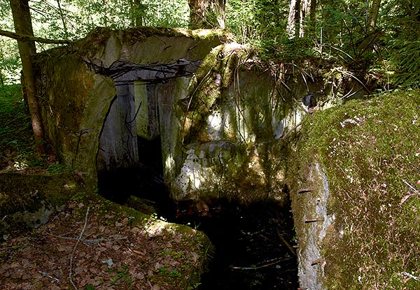 Remains of the fortifications - VT Line