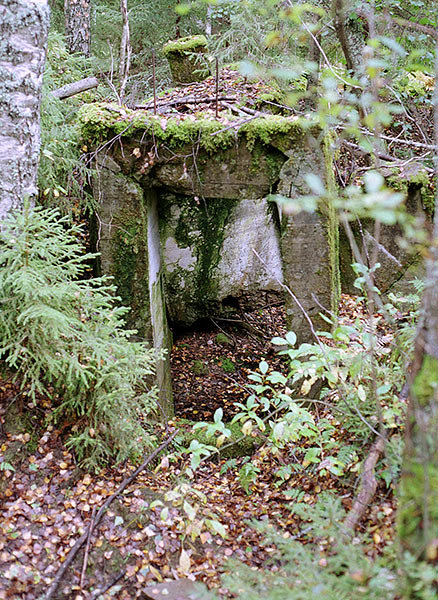 #41 - Concrete