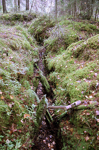 #40 - Trench line