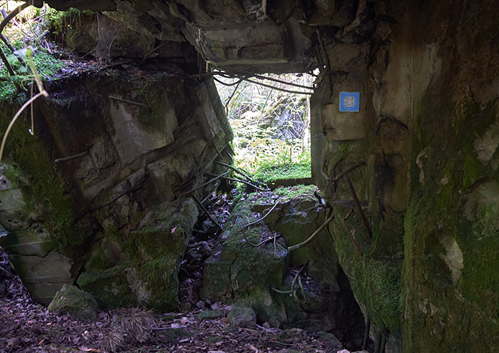 #3 - Embrasure