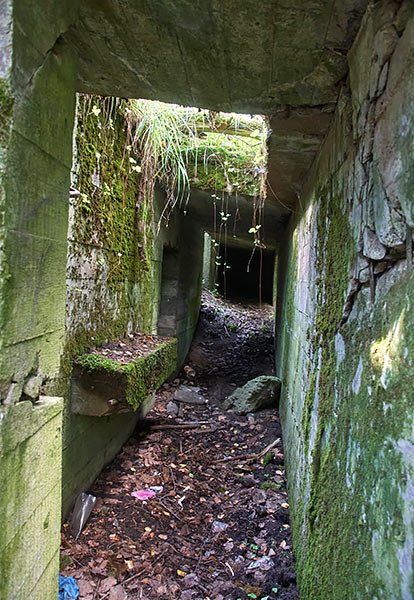 #15 - Rifle pit