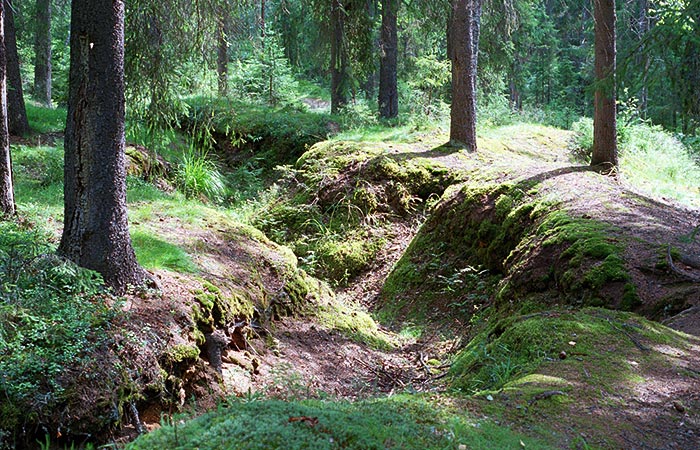 Entrenchments - VT Line