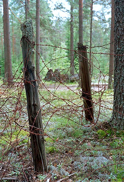 Barbed wire - VT Line