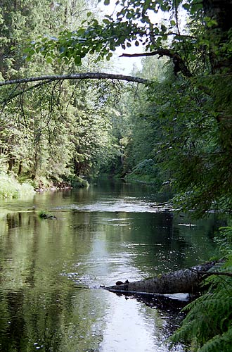 Река Raivolanjoki - Карельский вал