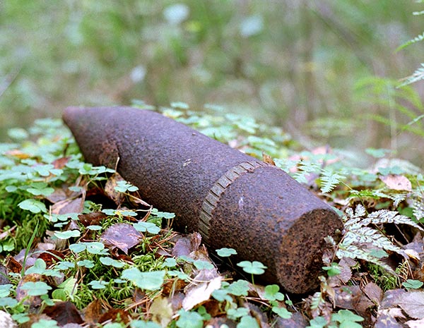 #17 - Dangerous find
