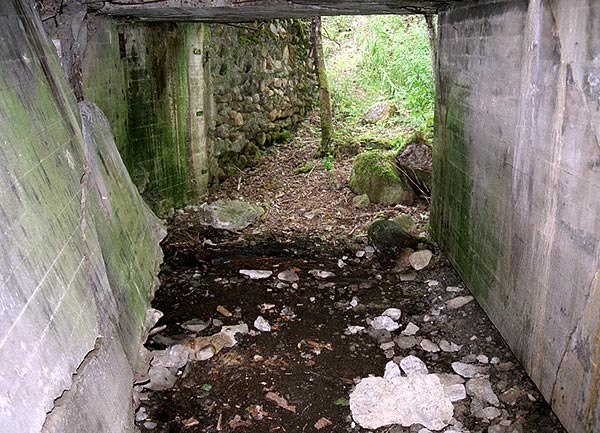 #14 - Passage