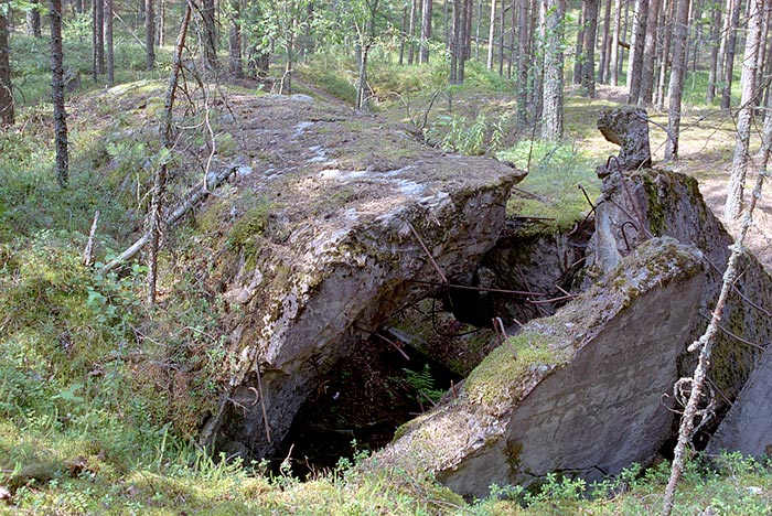 #8 - Bunker
