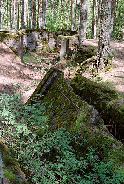 #9 - Artillery emplacements