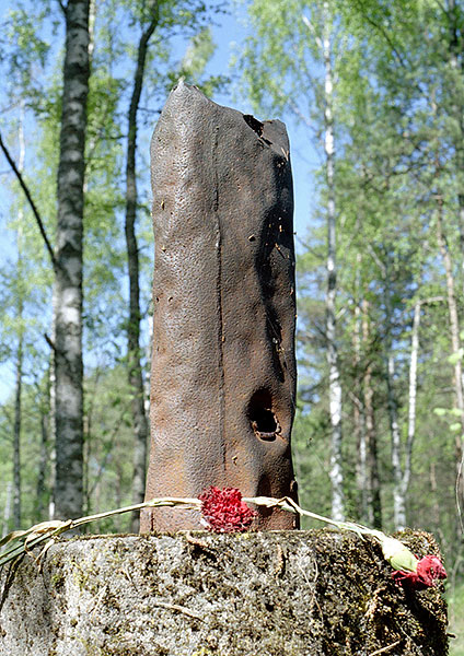 #31 - Chimney pipe