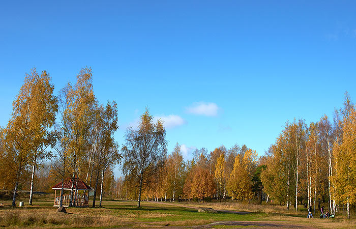 Amusement Park - Vyborg