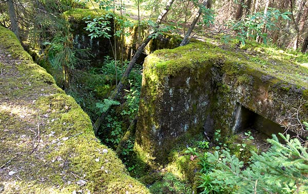 Trenches - Vyborg