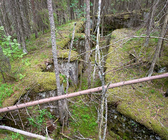 Trenches in the wood - Vyborg