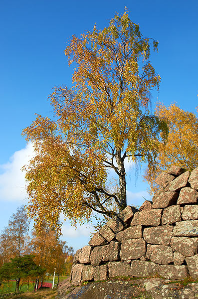 #27 - Escarpment