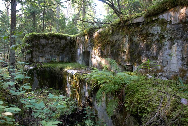 Rifle  positions - Vyborg