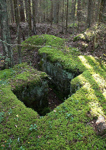 Entrenchments - Vyborg