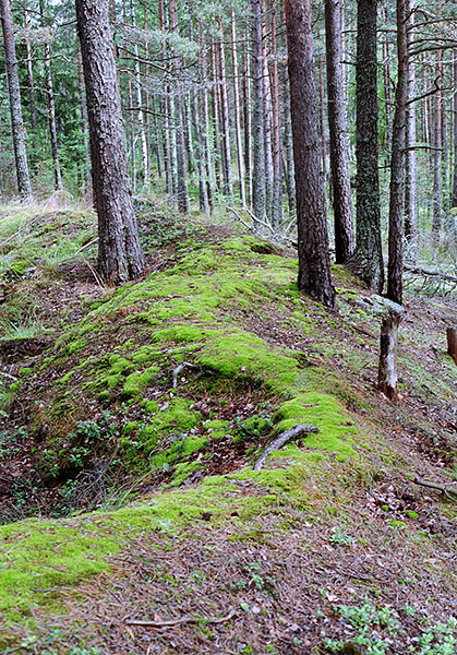 #21 - Swedish breastworks