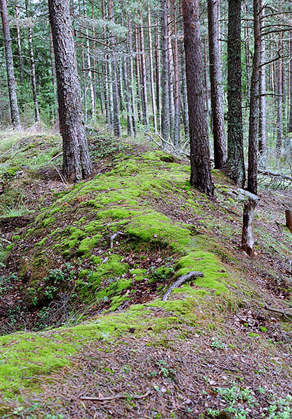 Swedish breastworks - Vyborg