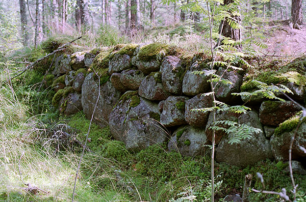 #22 - Old brickwork