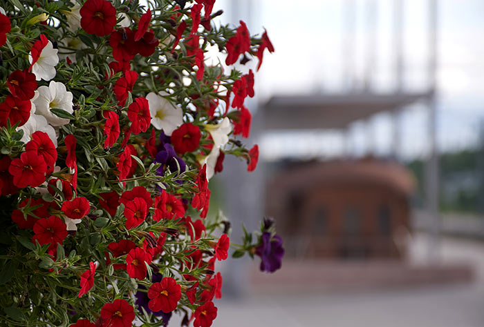 Станционный натюрморт