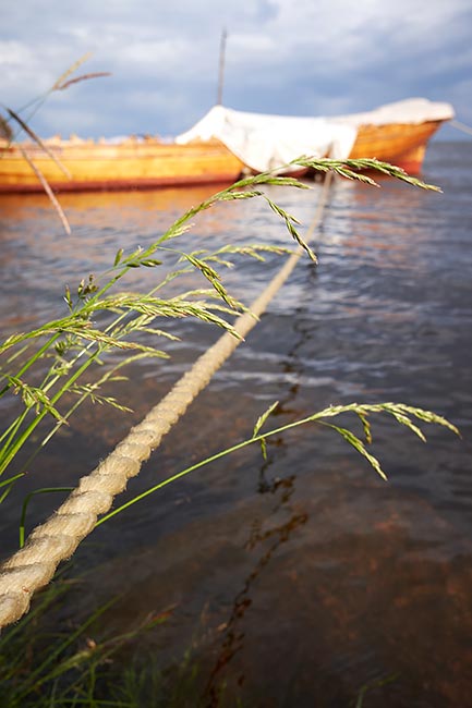 Натюрморт для красоты и привлечения внимания