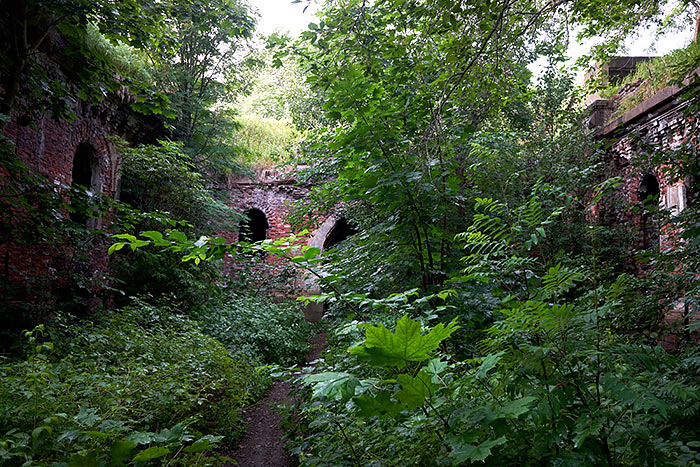 Patio ща еру ащке in summer