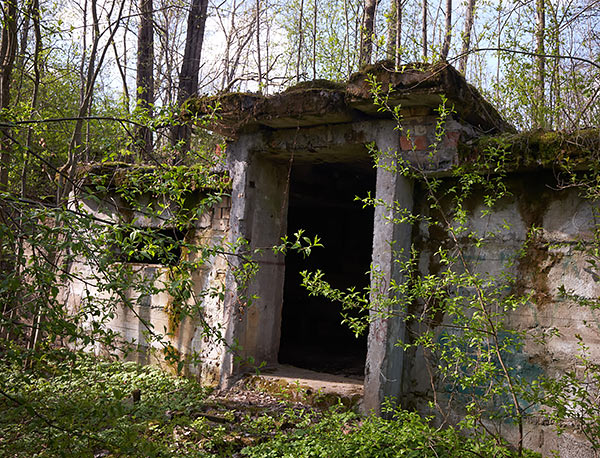 #26 - Сарай нежилой