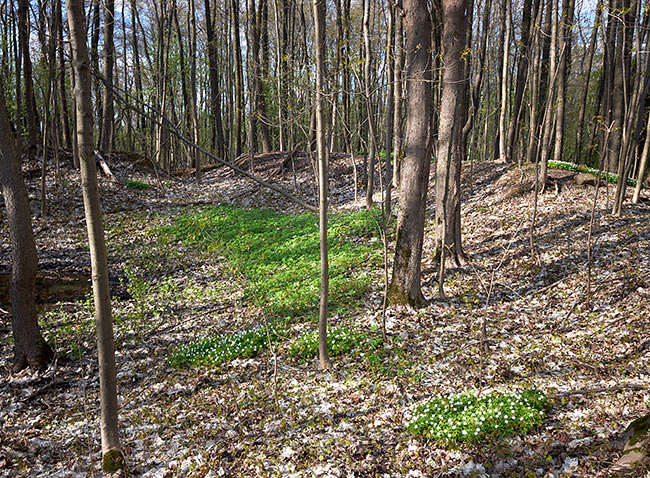 #29 - Панорама редута