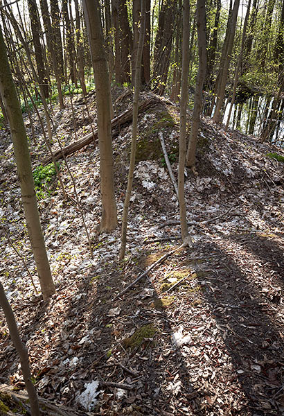 #28 - Валы в лесу