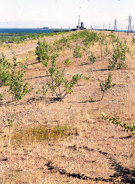 #7 - Kronstadt Dam in 2001